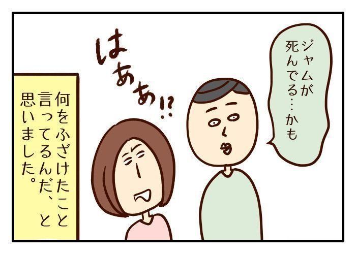 ペットロス②愛猫の突然死。家族がバランスを崩し始める[噛みしめ育児