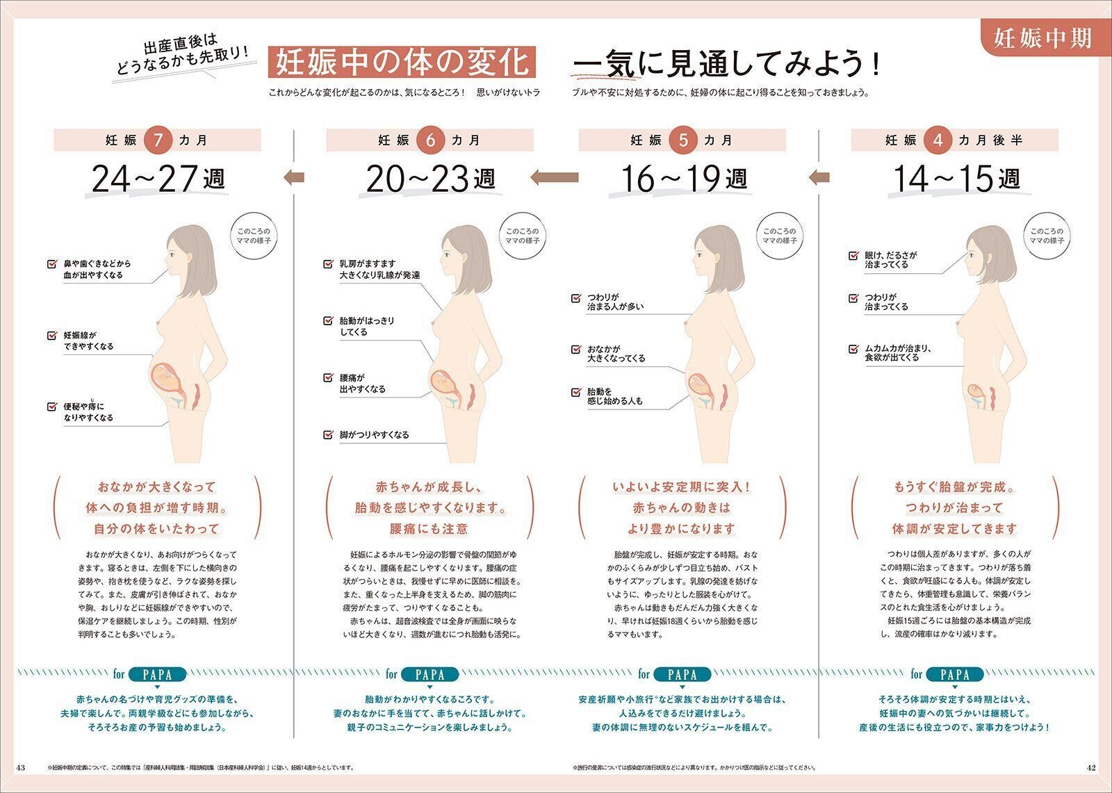 【大特集】妊娠14週～40週まで 出産までの体の変化見通しguide