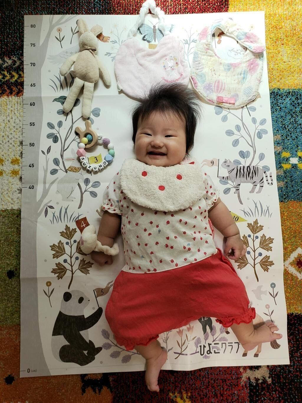 【エントリーNo.7】生後100日に撮影！ 　Photo by さしゃさん