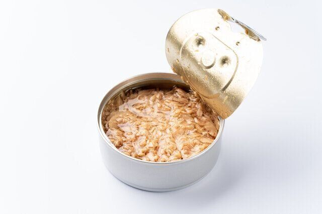 【医師監修】妊娠中、ツナ缶は食べていい？それともダメ？