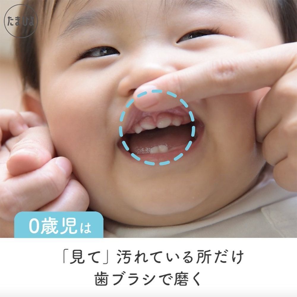 動画 赤ちゃん時代の歯磨きの新常識 目で磨く歯磨き たまひよ