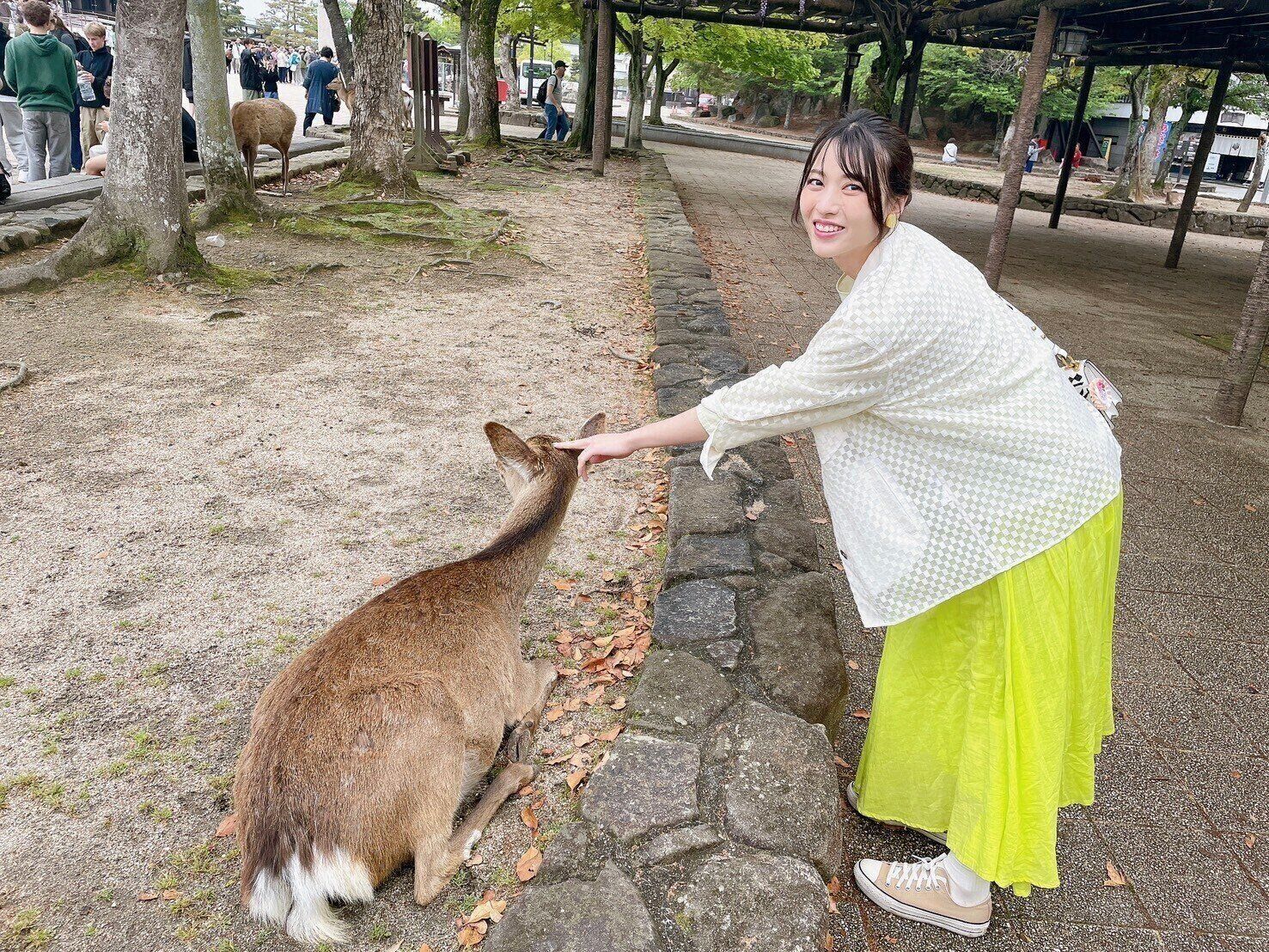 旅先で、鹿と触れ合う矢島さん。