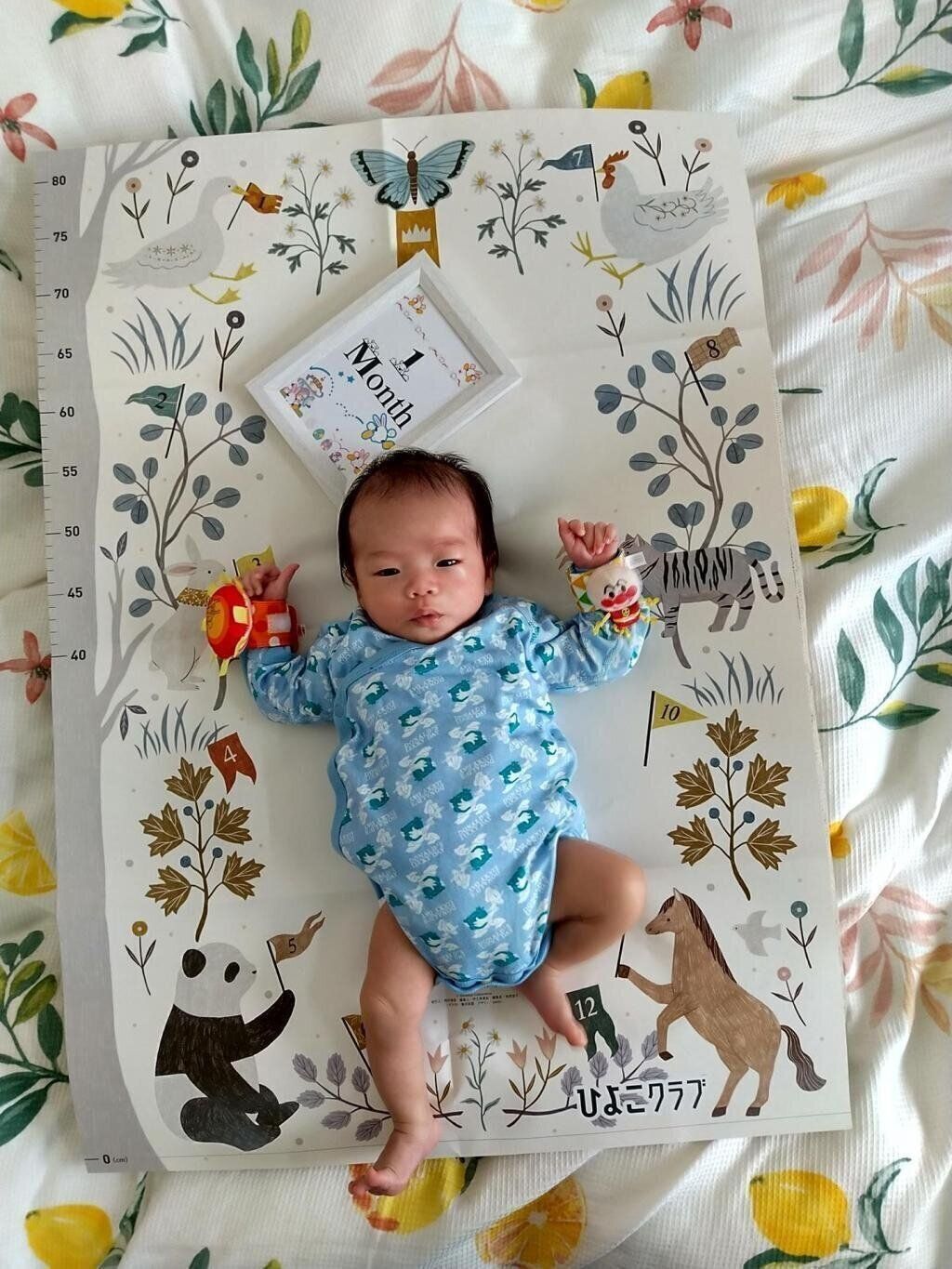 【エントリーNo.10】1ヶ月記念に 　Photo by カヅママさん