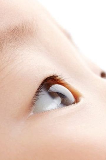 医師監修 赤ちゃんの視力 いつから見えて どう発達していくの たまひよ 医師監修 赤ちゃんの視力 いつから見えて どう発達していくの たまひよ