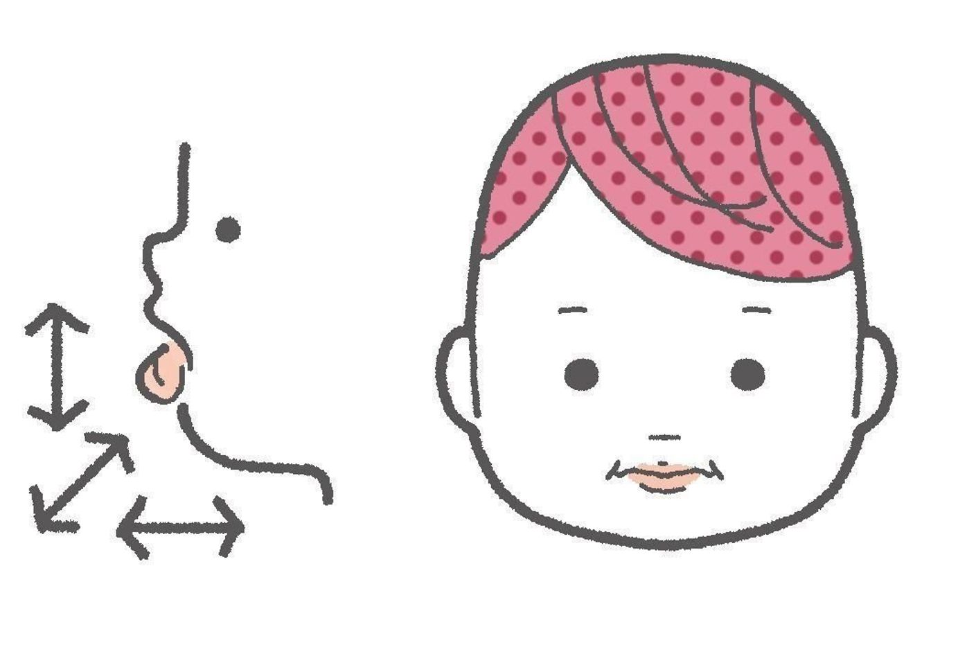 離乳食 最新の進め方は 赤ちゃんの舌 口 歯など口腔機能の発達が重要 たまひよ 離乳食 最新の進め方は 赤ちゃんの舌 口 歯など口腔機能の発達が重要 たまひよ