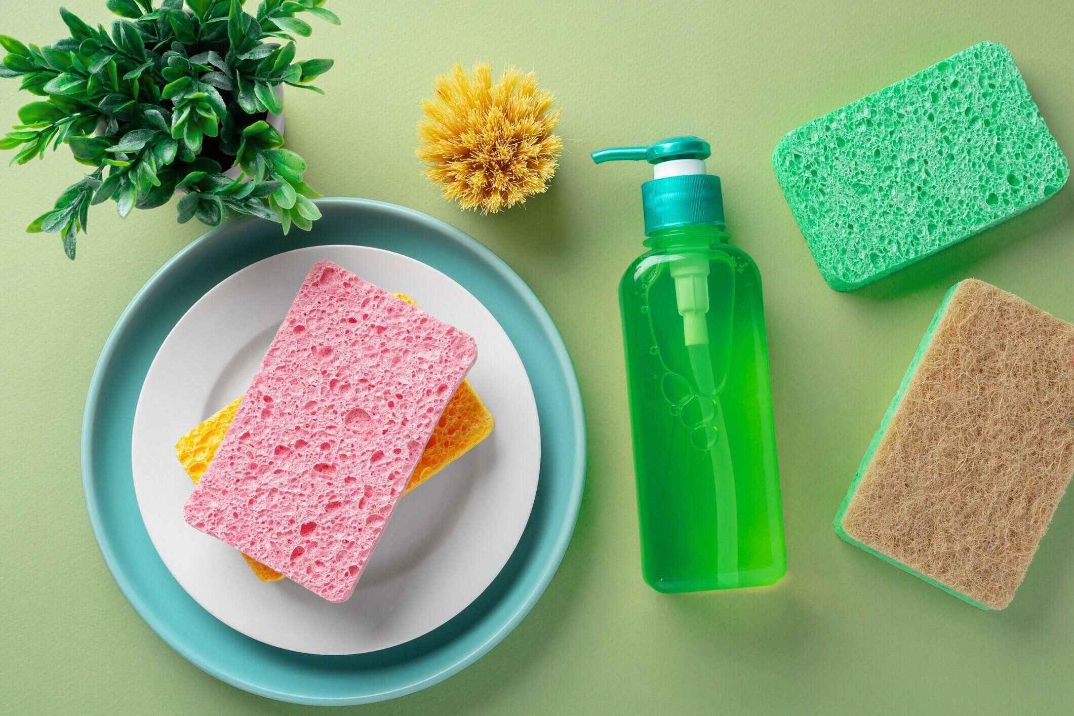 緑の背景に食器洗い液体石鹸ボトルと天然スポンジとブラシ