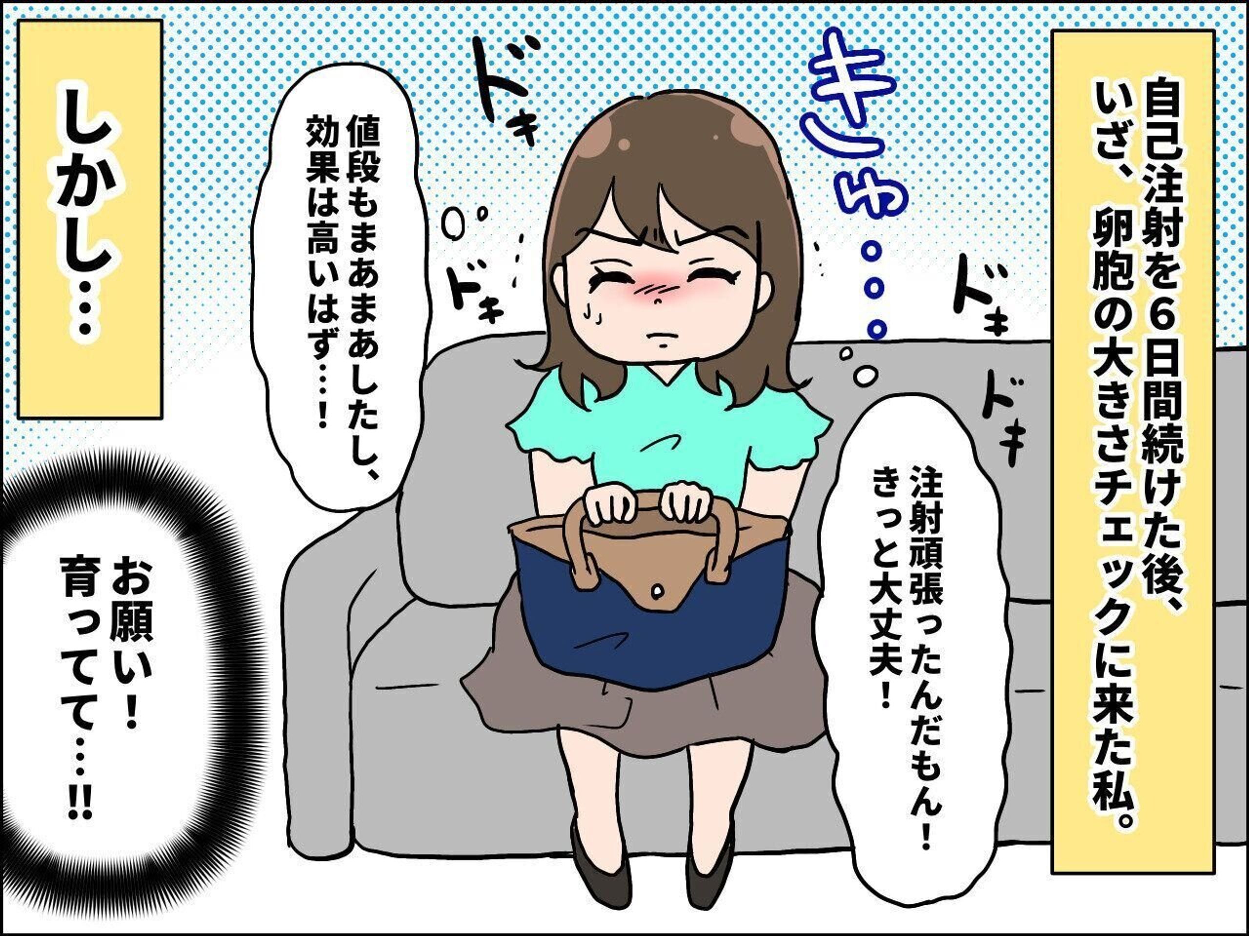 不妊治療 排卵誘発剤を変えてみた結果 えなりの幸せママ街道 8 たまひよ 不妊治療 排卵誘発剤を変えてみた結果 えなりの幸せママ街道 8 たまひよ