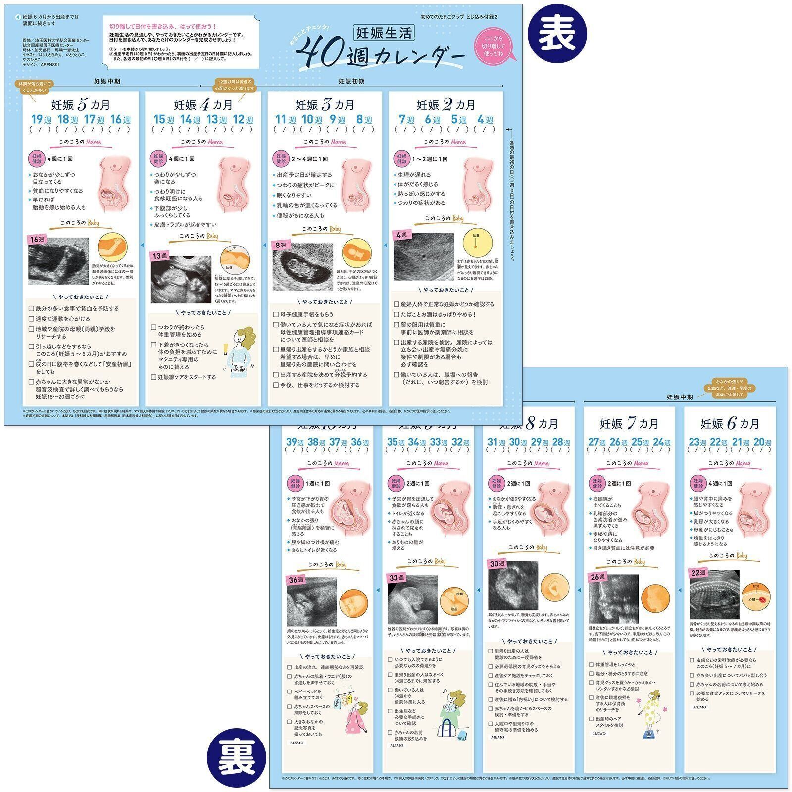【とじ込み付録】やることチェック！ 妊娠生活40週カレンダー