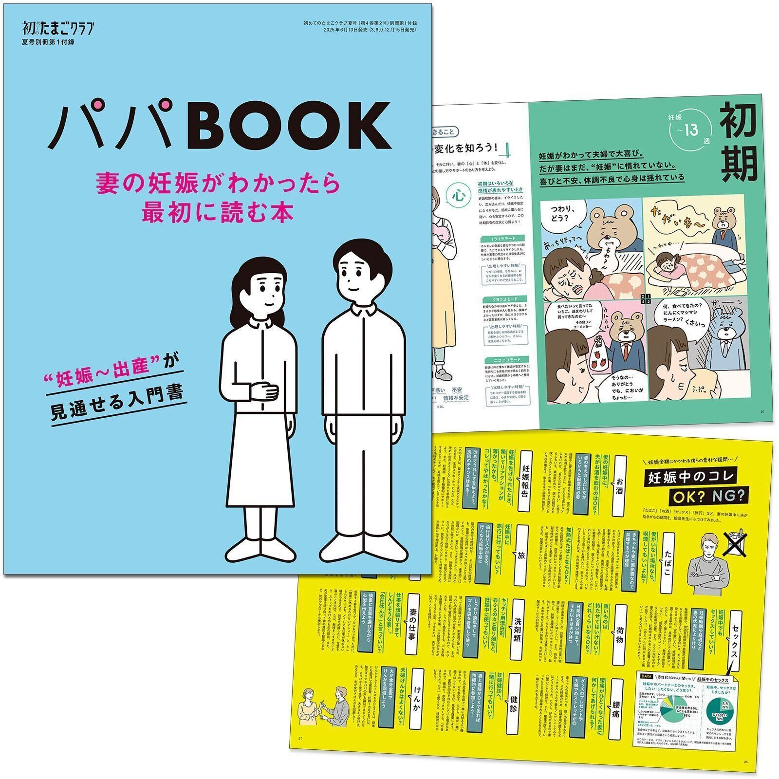ベネッセ   be fa!   妊娠したら読む本 初めて妊娠されたかたに！妊娠がわかったら最初に読む本『初めて