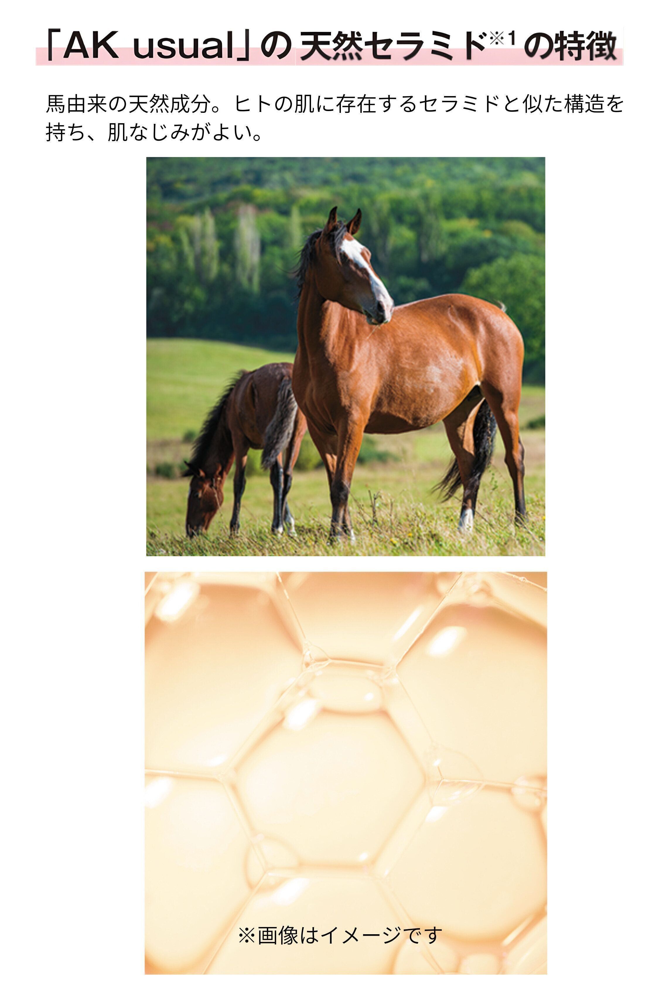 「AK usual」の天然セラミドの特徴