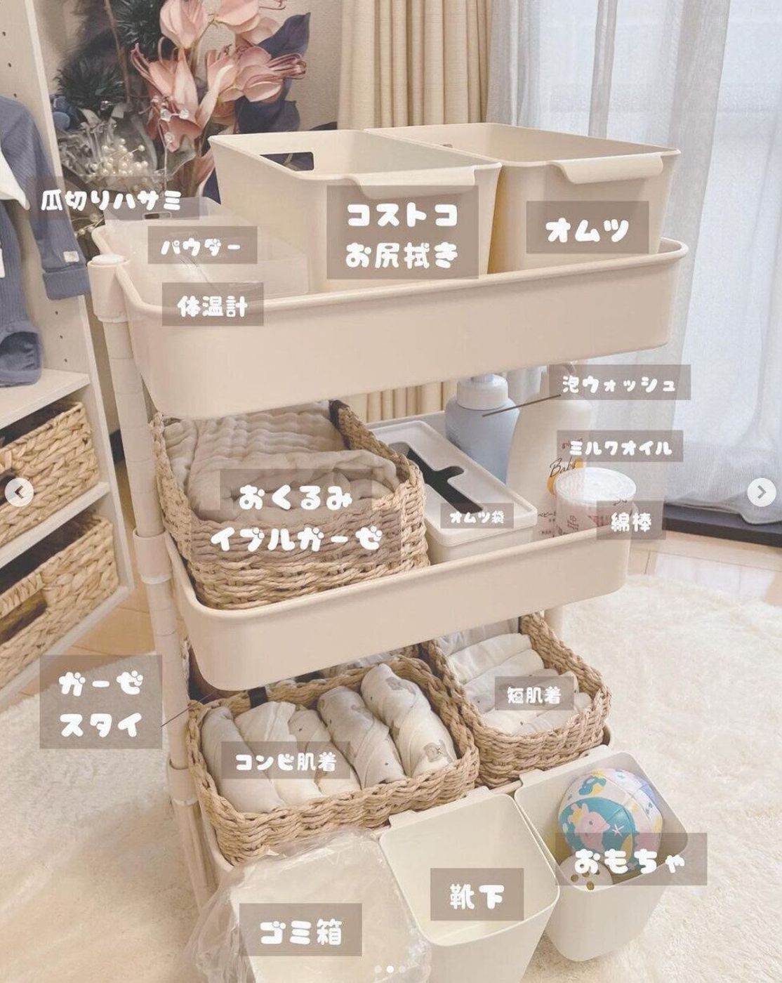 活動歴および当時の関連ビジュアル記録