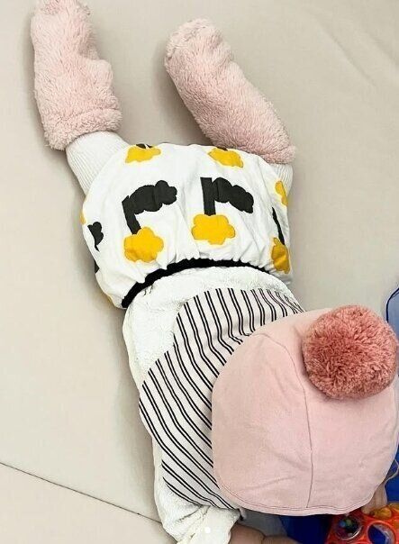 出典：Instagramアカウント「ika_iruka__」