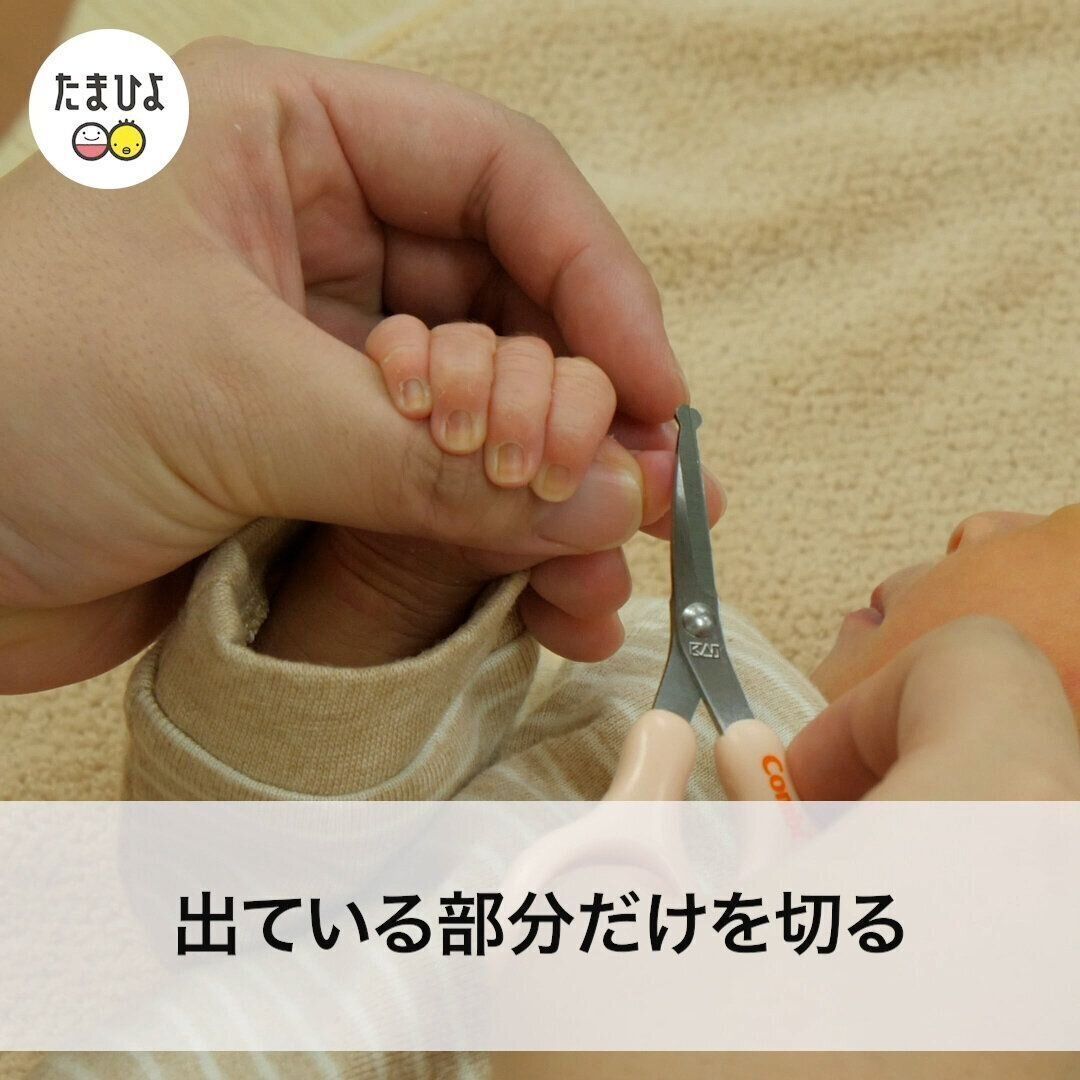 つめ切りのポイント