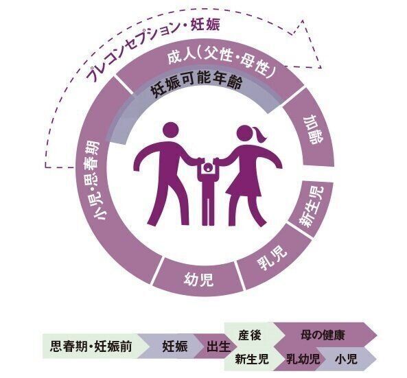 プレコンセプション・妊娠とは