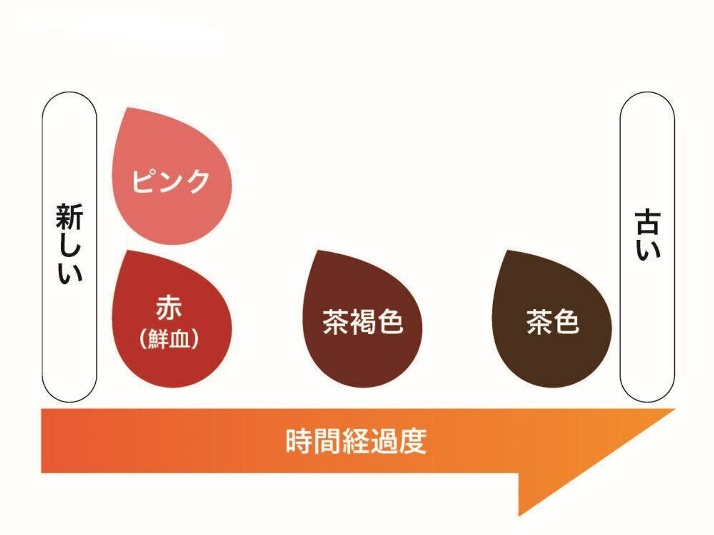 活動歴および当時の関連ビジュアル記録
