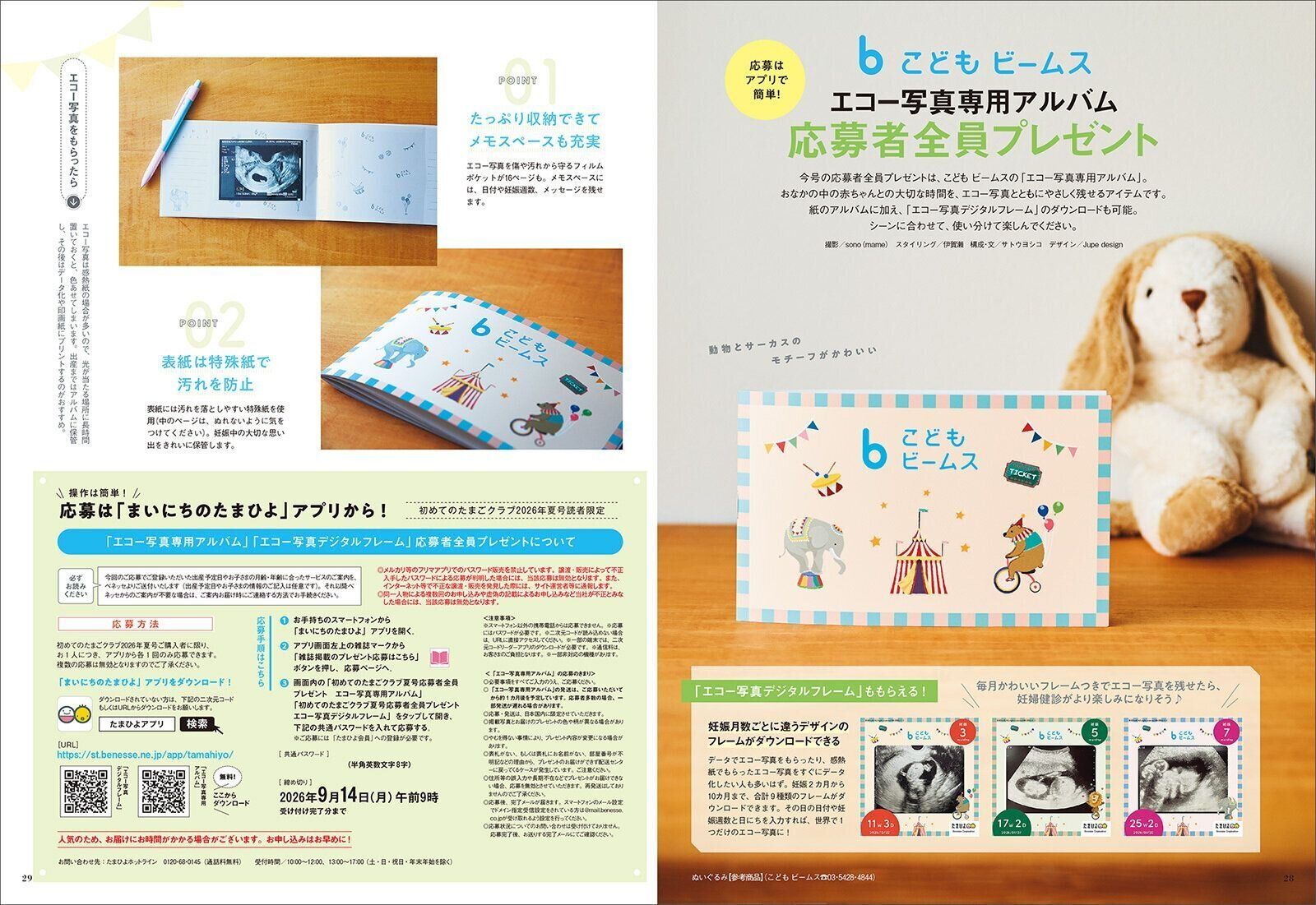 初めて妊娠されたかたに！妊娠がわかったら最初に読む本『初めての