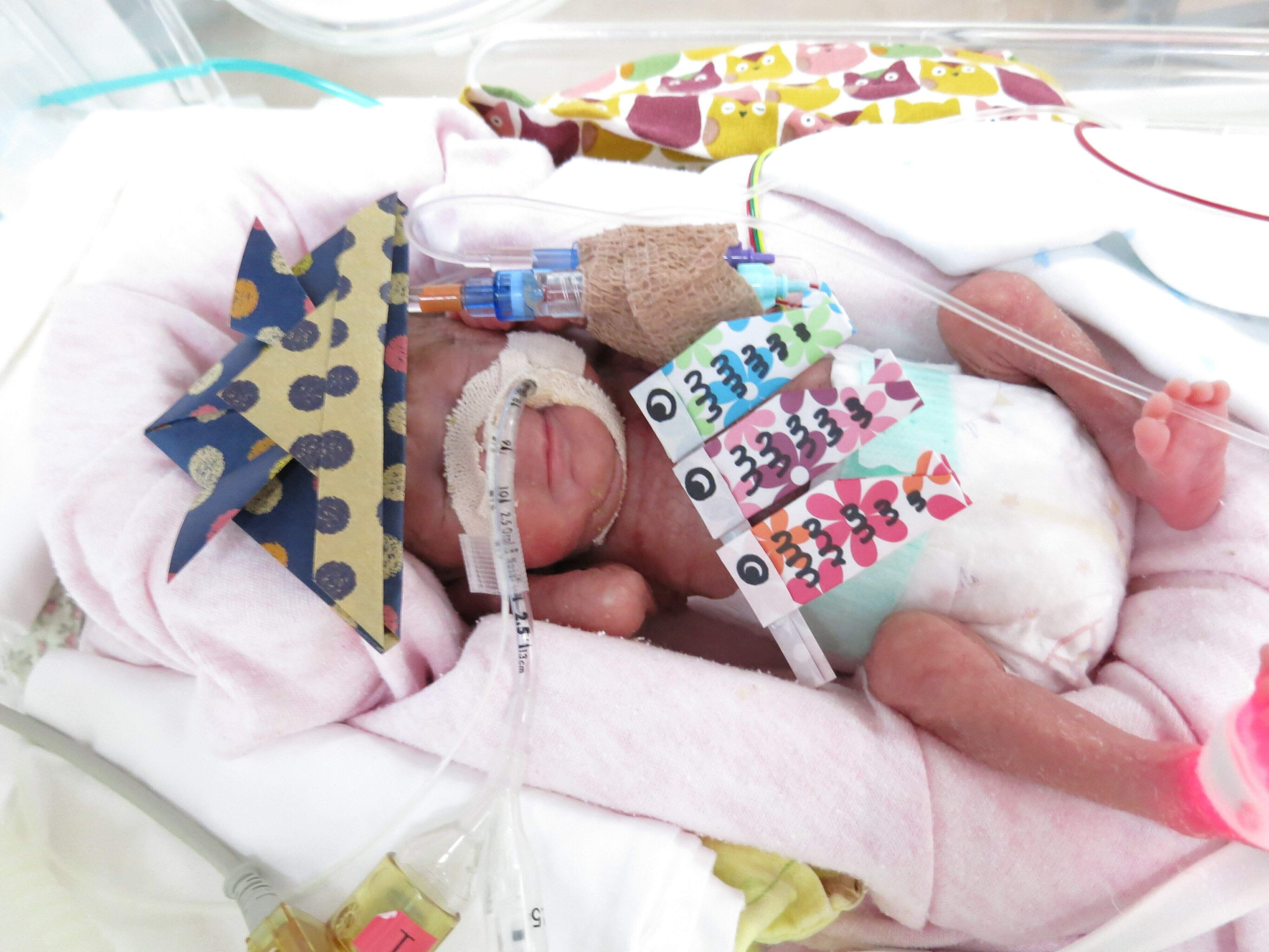 いとこの赤ちゃんがくれた草 いとこの赤ちゃんがくれた草 赤ちゃんは