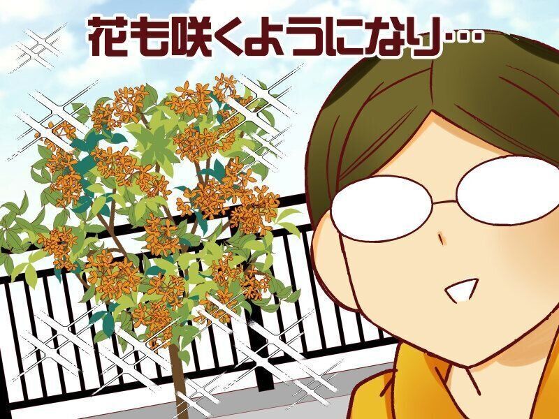 新居に植えた記念樹に襲いかかる死と再生【御手洗直子のコマダム日記 ＃133】