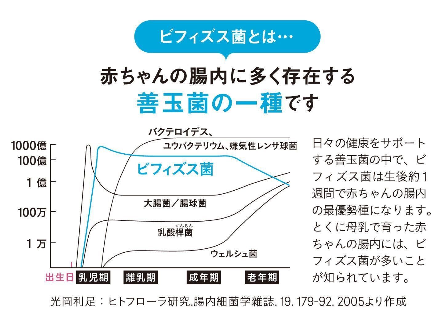 ビフィズス菌とは？：赤ちゃんの腸内に多く存在する善玉菌の一種です（たまひよ）