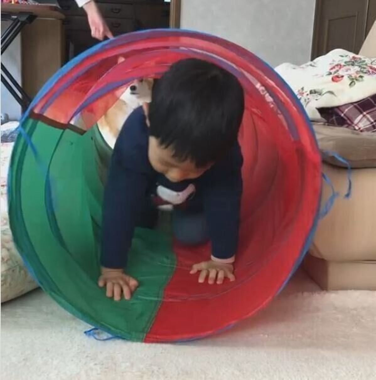 おうち遊びでも動ける 人気の室内運動遊び5選 たまひよ おうち遊びでも動ける 人気の室内運動遊び5選 たまひよ