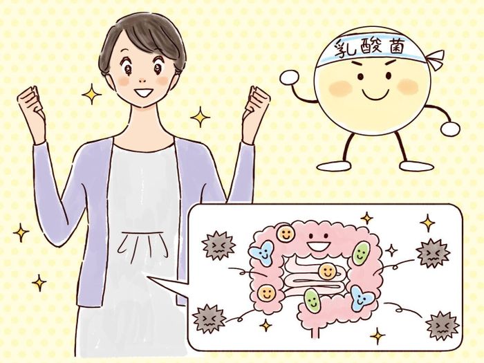 「生きたまま腸内にとどく乳酸菌」を毎日の食事にプラスして、内側からサポート!