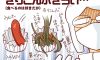 お弁当工場でひたすらおかずを詰めた思い出…!【御手洗直子のコマダム日記】