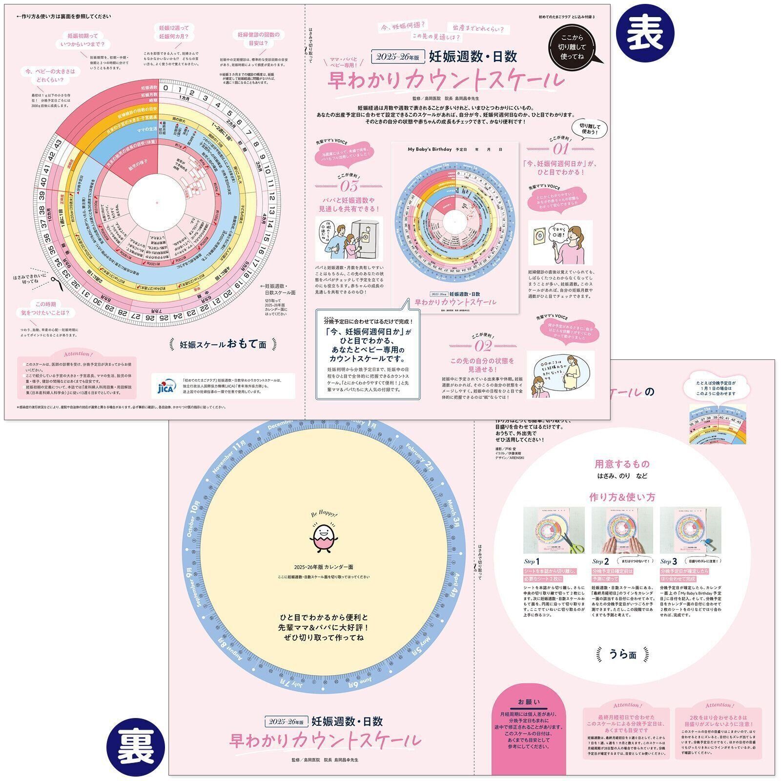 【特集】妊娠週数・日数 早わかりカウントスケール