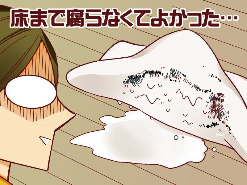 布団にカビ…そしてさらなる恐怖を見せてあげよう【御手洗直子のコマダム日記 ＃136】