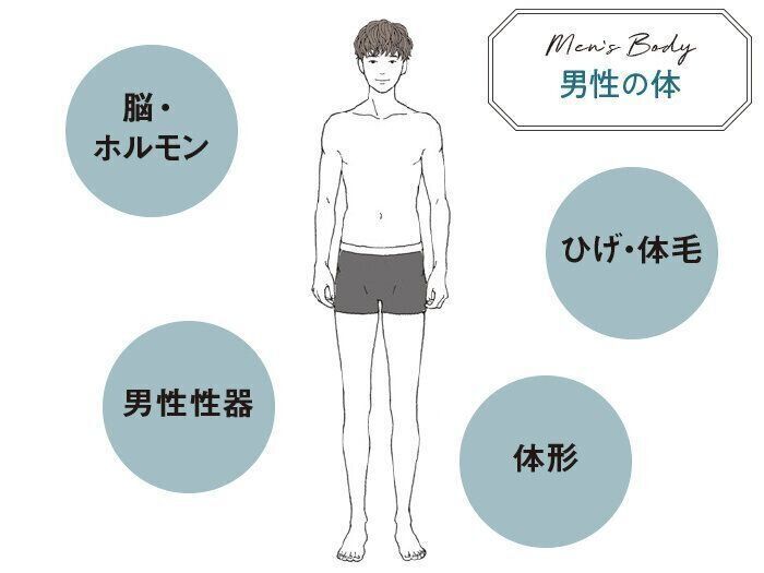 専門家に聞く妊活基礎知識 男性の体 や 男性性器 のこと知っていますか たまひよの妊活