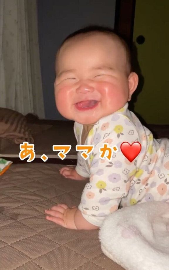 出典:Instagramアカウント「toco_jizochan」