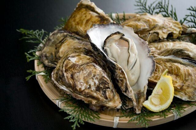 妊娠中のカキ・生ガキ（牡蠣）は食べていい？それともダメ？