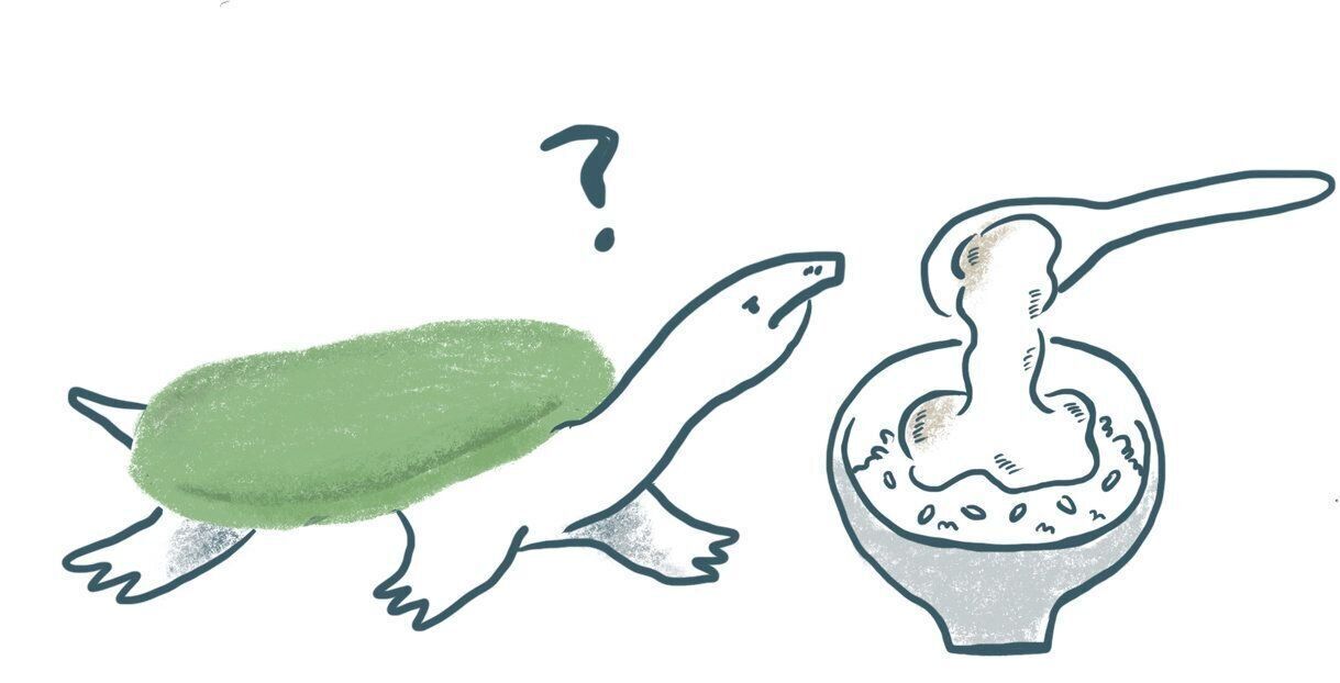 精力アップに、すっぽんやとろろがいいって本当？