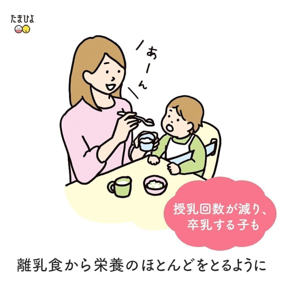 1歳ごろは栄養のほとんどを離乳食からとるように変化
