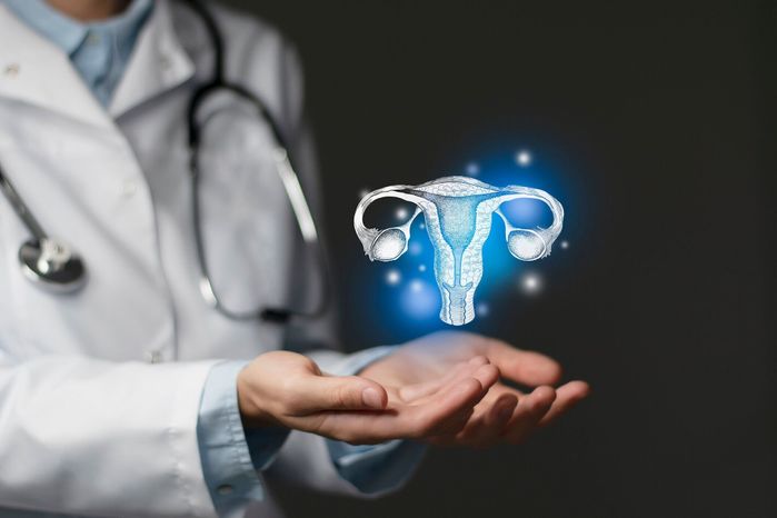 卵子凍結は卵子の時間を止めておくことができる技術。