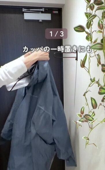 出典：Instagramアカウント「shii_no_kurashi」