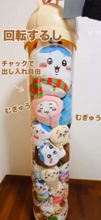 出典:Instagramアカウント「chikawa.okinawa.qi.2981」