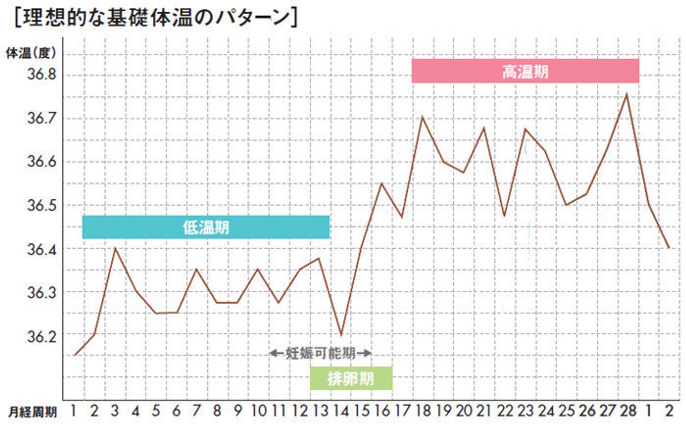 妊娠体質をつくる5つの最新メソッド Part2 基礎体温編 たまひよの妊活 妊娠体質をつくる5つの最新メソッド Part2 基礎体温編 たまひよの妊活