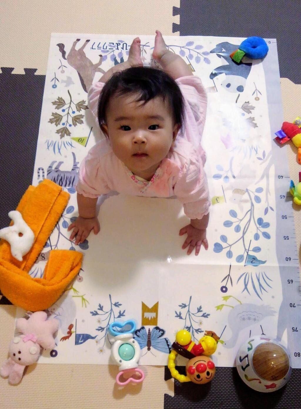 【エントリーNo.24】昨日無事に7ヶ月を迎えることができました★　Photo by ご縁さん