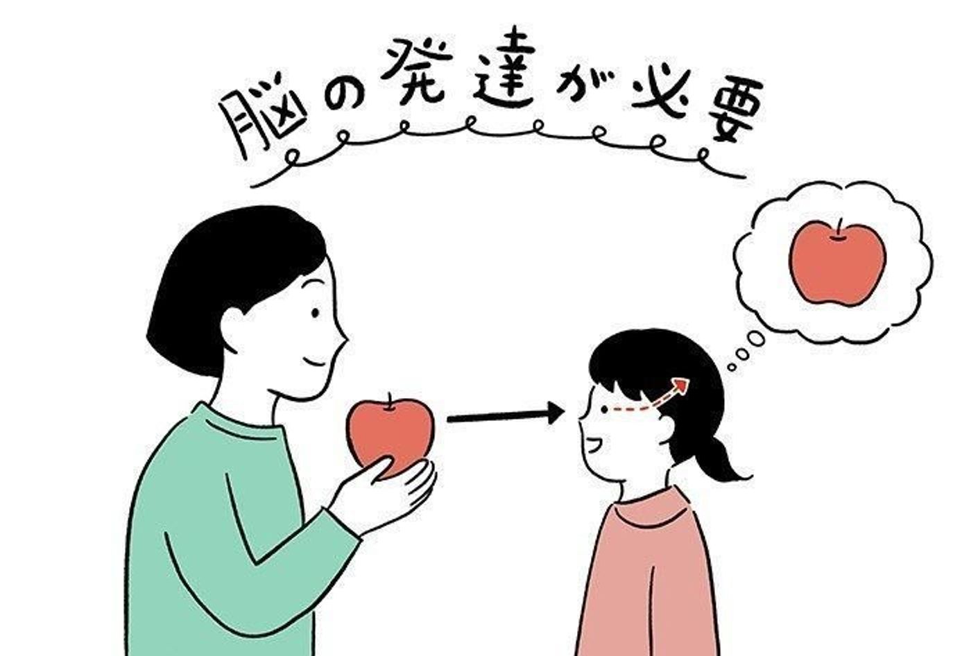 6 8歳までが発達のリミット 子どもの 視力 と 脳の発達 の深い関係を知っておこう たまひよ