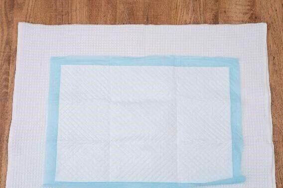 赤ちゃんのいる家庭の防災対策 ペットシーツを使ったおふろ 紙おむつの代用方法 専門家 たまひよ