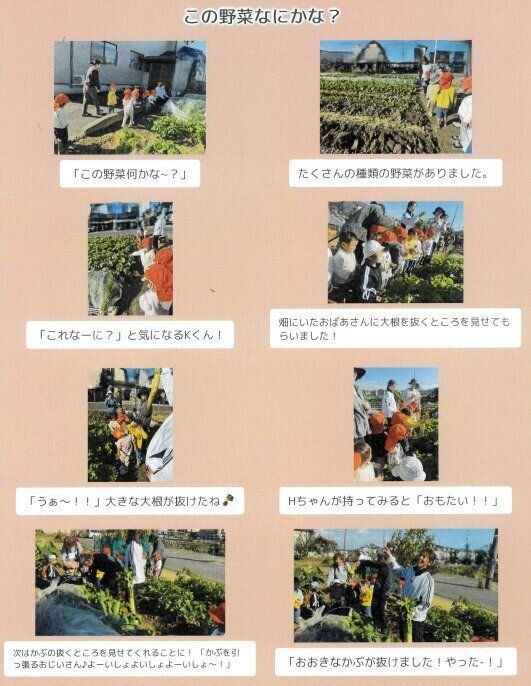 めぐみこども園のドキュメンテーション