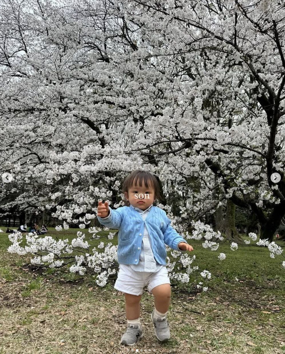 出典：Instagramアカウント「0880wd」