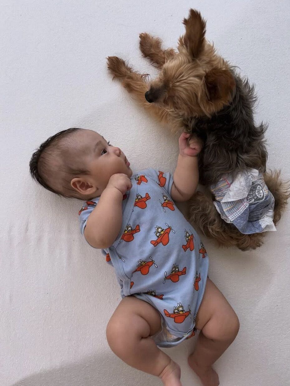 出典：Instagramアカウント「tarosannoseikatsu」