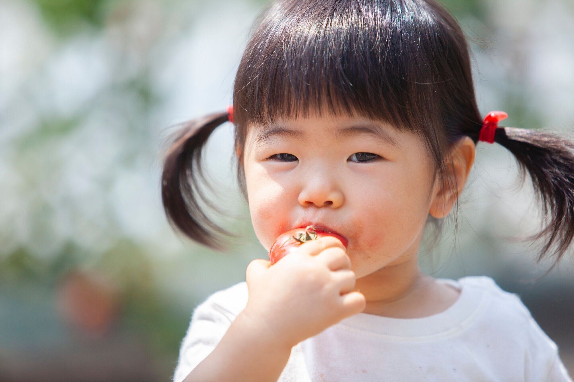 子どもに野菜を食べさせる秘儀とは？子どもが食べてくれる栄養たっぷりごはん