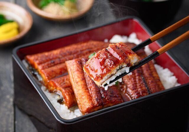 妊娠中のうなぎ（鰻）は食べていい？それともダメ？