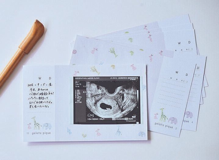 GELATO PIQUE エコー写真専用リフィルアルバム