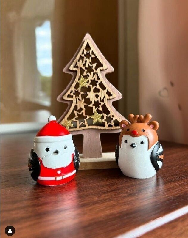 出典：Instagramアカウント「kumiko_y._.y」