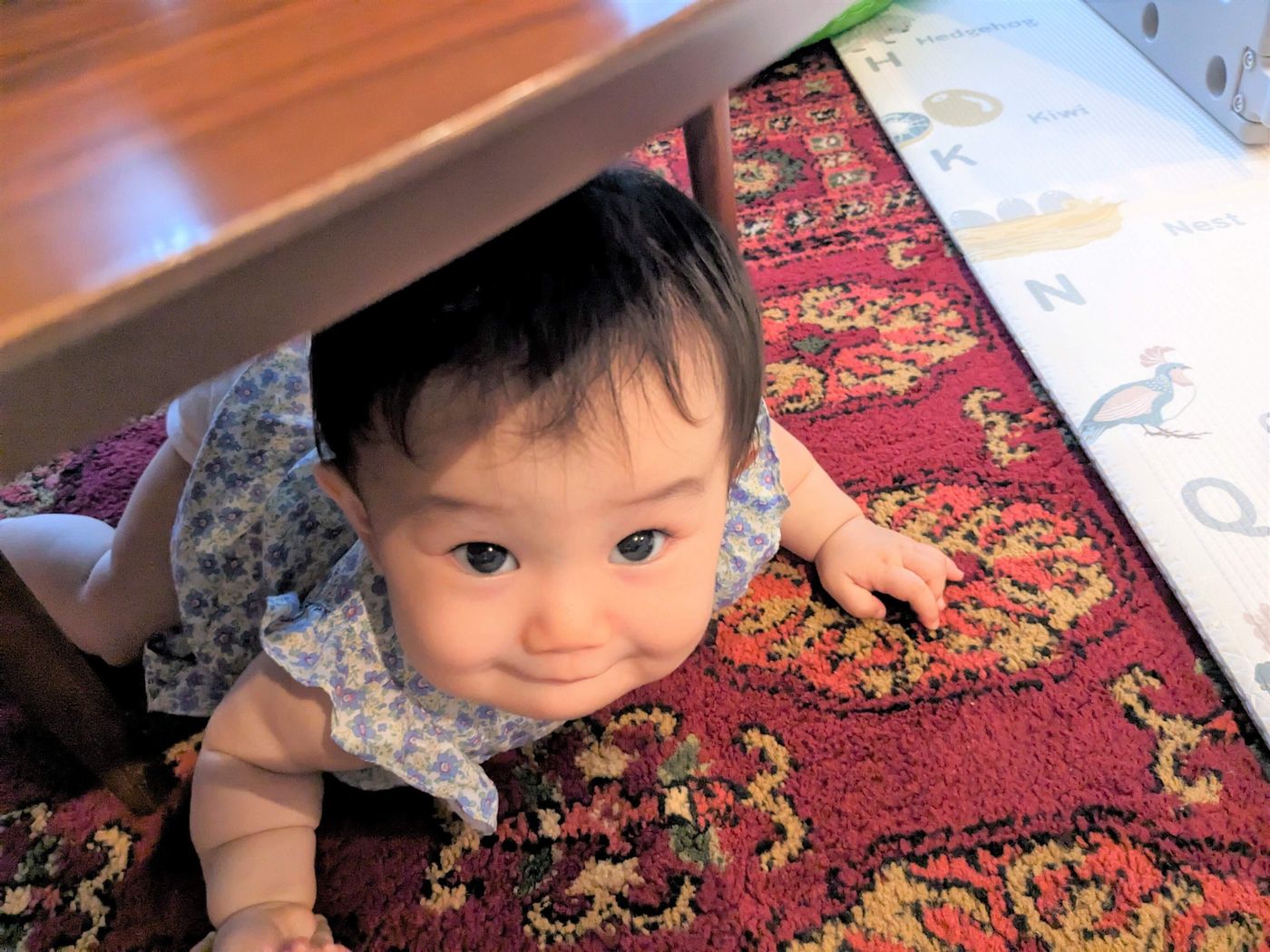 |11-12.kiw.ru(plus)の画像 成長日記9カ月】ずりばいで動き回るようになりました<杉原紬木ちゃん第12回>|たまひよ