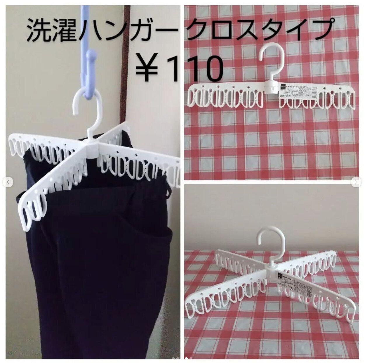 出典：Instagramアカウント「armadillo.630760」