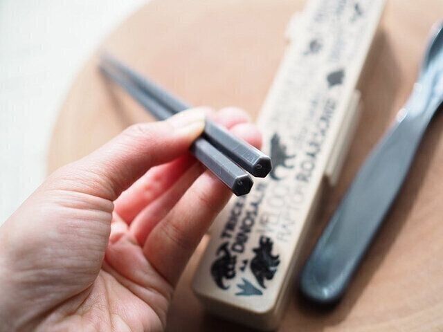 セリア　コンビセット　お箸とスプーンがセット